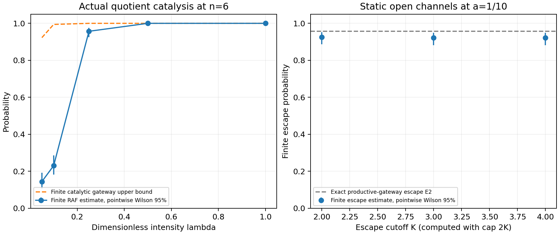 Finite RAF estimates at word cap six rise with catalytic intensity. Separate static-field trials estimate escape beyond three finite cutoffs and are compared with the exact productive-gateway escape probability.