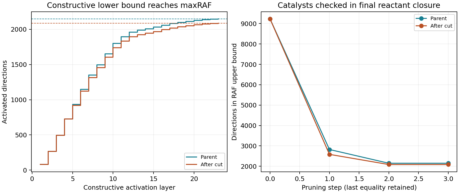 Constructive activation reaches the same parent and postcut reaction sets as maxRAF pruning: 2148 and 2085 directions respectively.